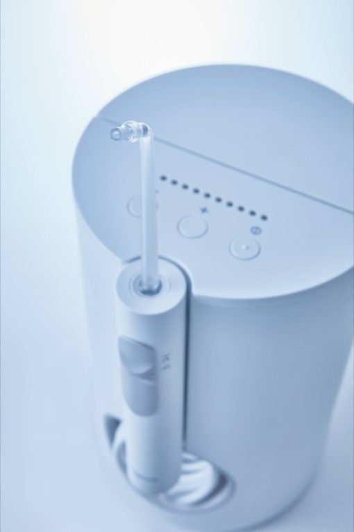 Máy Tăm Nước Panasonic EW1611